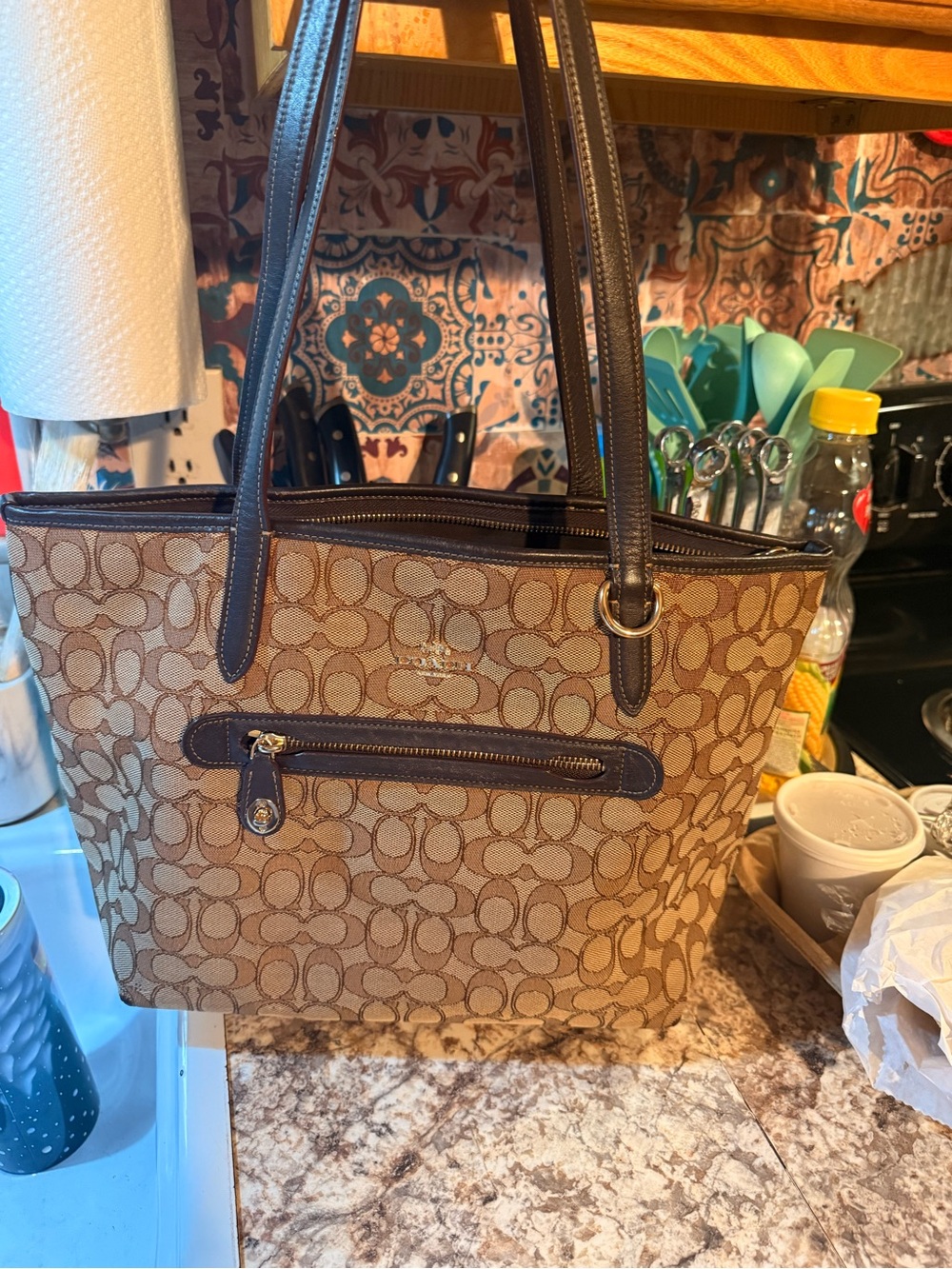 tan coach